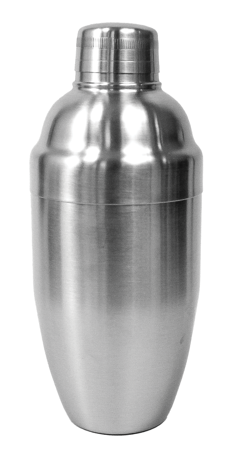 STAINLESS STEEL COCKTAIL SHAKER - Wild Eye Designs
