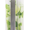 STRAIGHT METAL STRAW SET WITH BRUSH - Wild Eye Designs